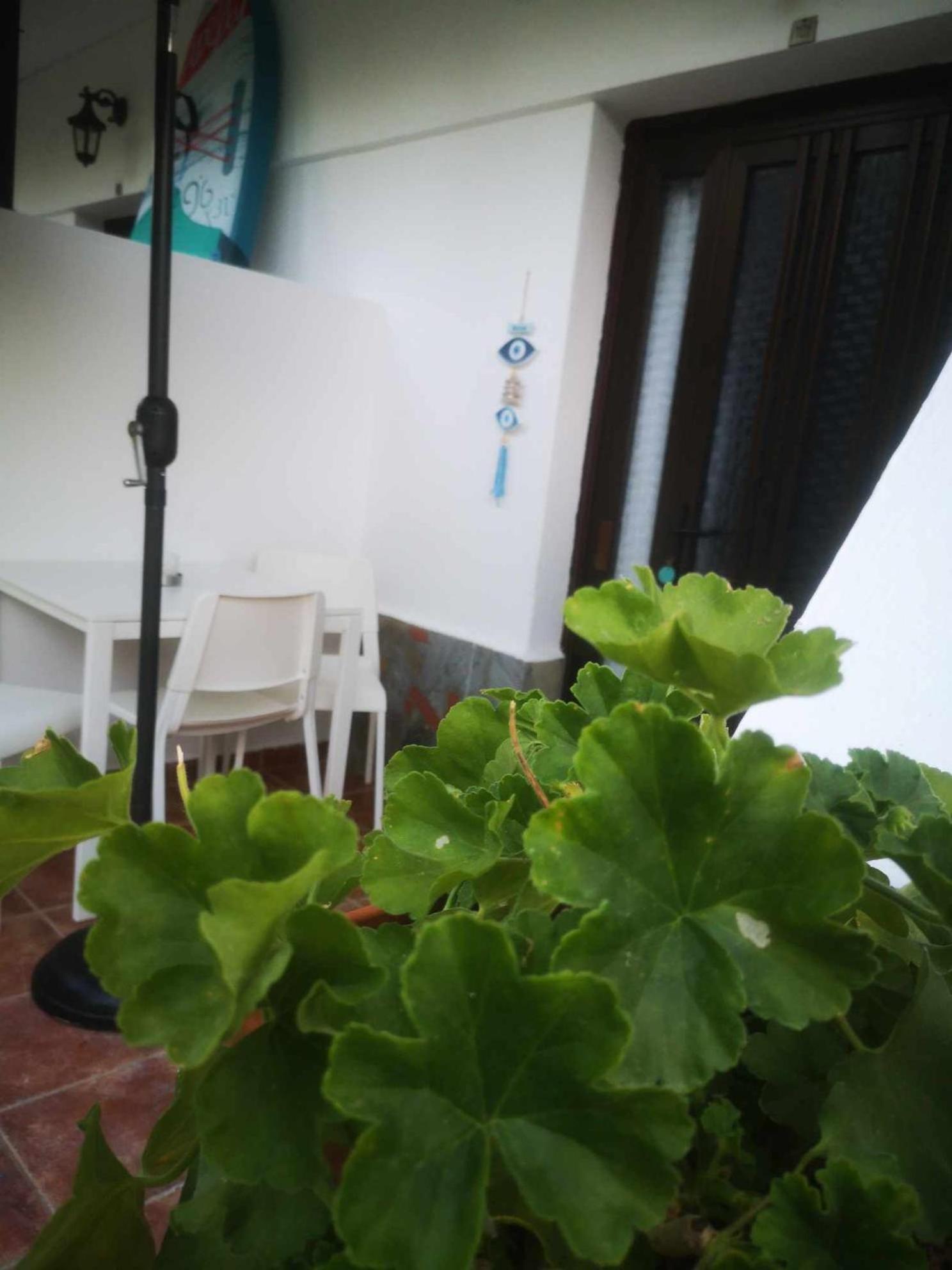 Achillion B&B Paralia Skotinis Exterior photo